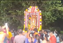 Sri Nimbachala Lakmi Narasimha seated in a palanquin