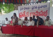 Public Administration Progress Plan in morthad